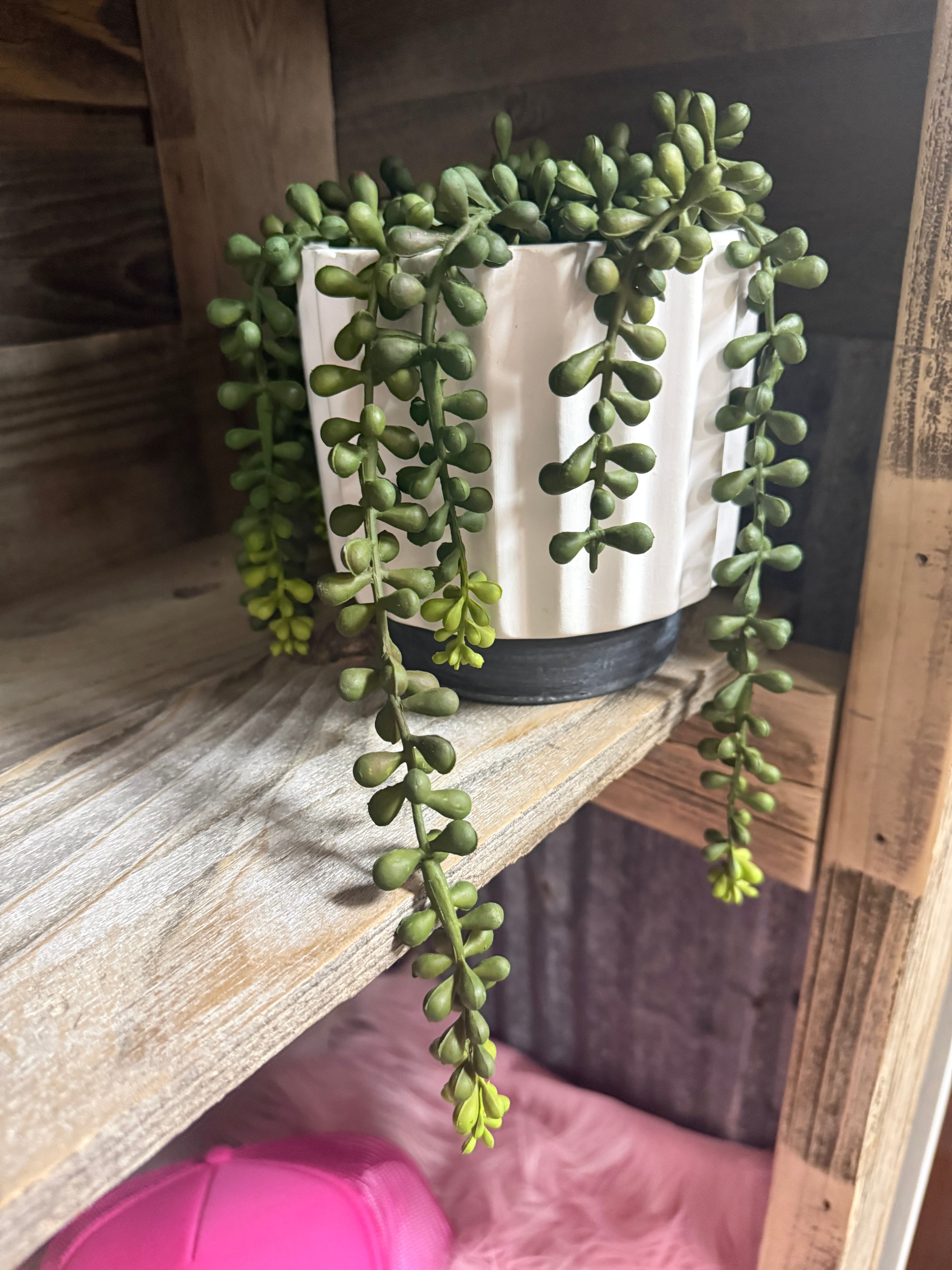 Faux trailing succulent in ceramic pot