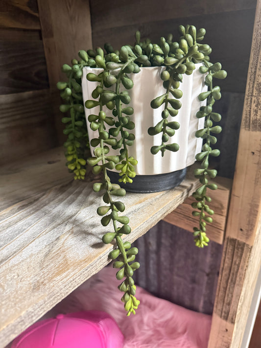 Faux trailing succulent in ceramic pot