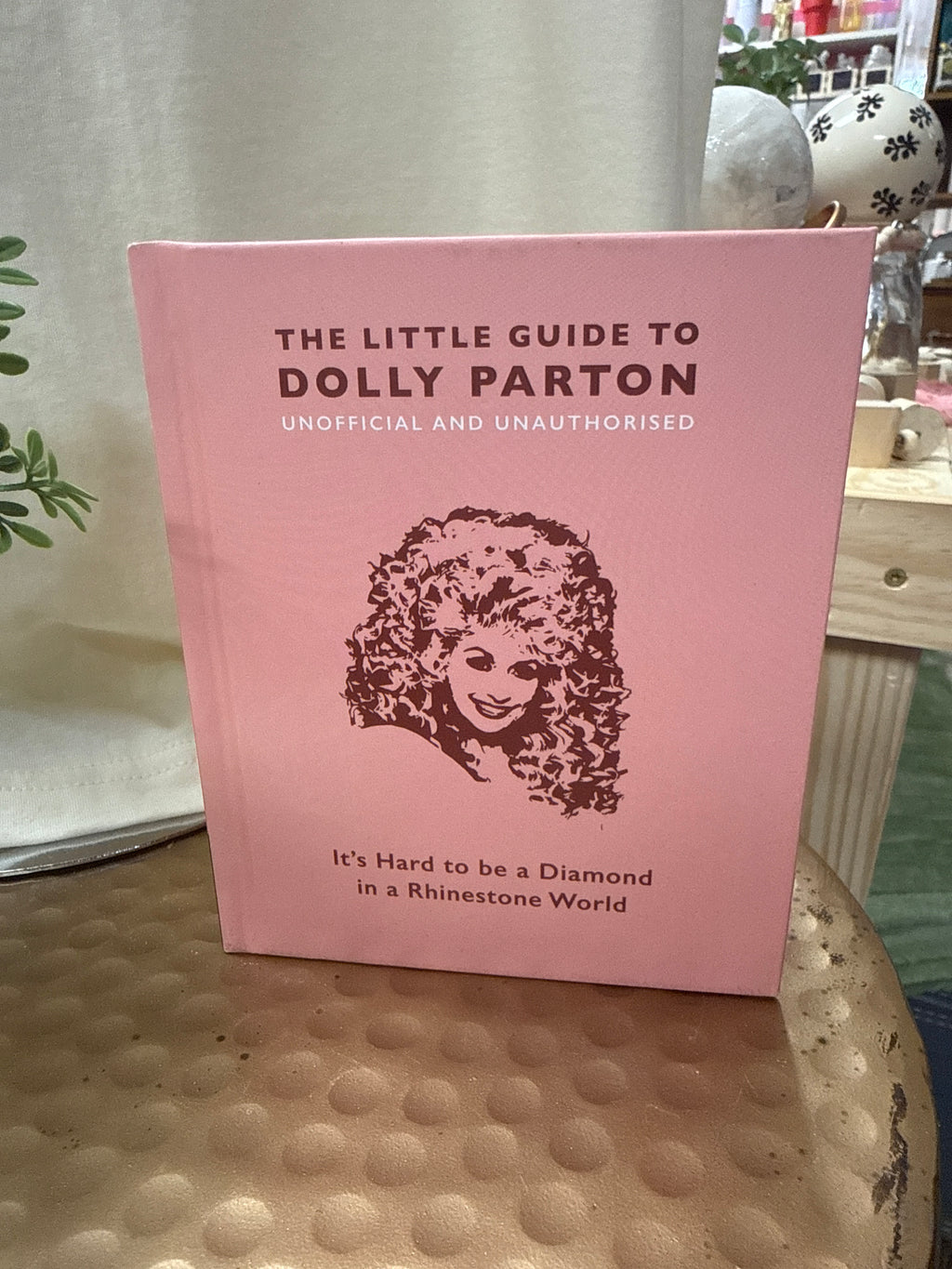The Little Guide to Dolly