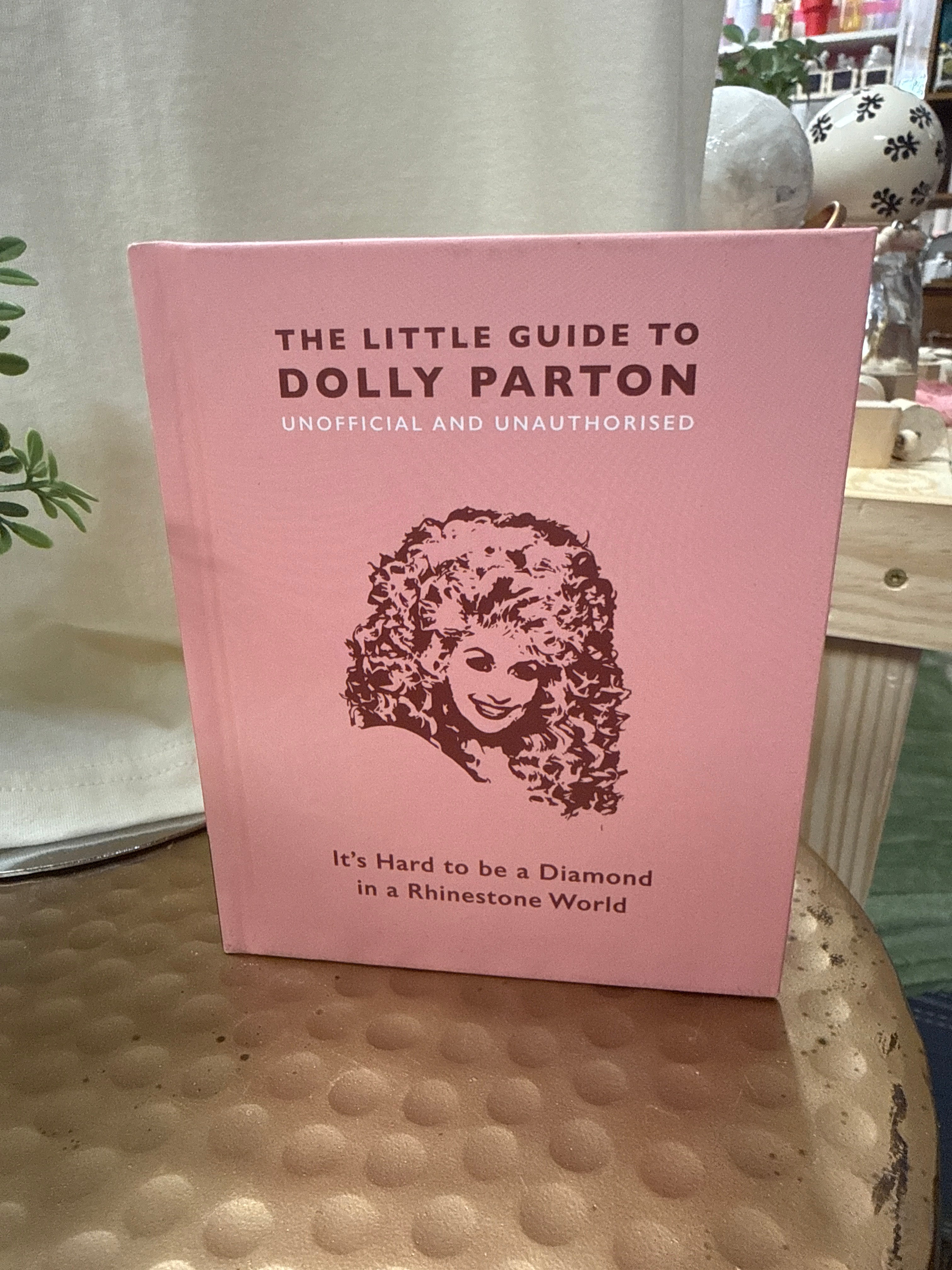 The Little Guide to Dolly