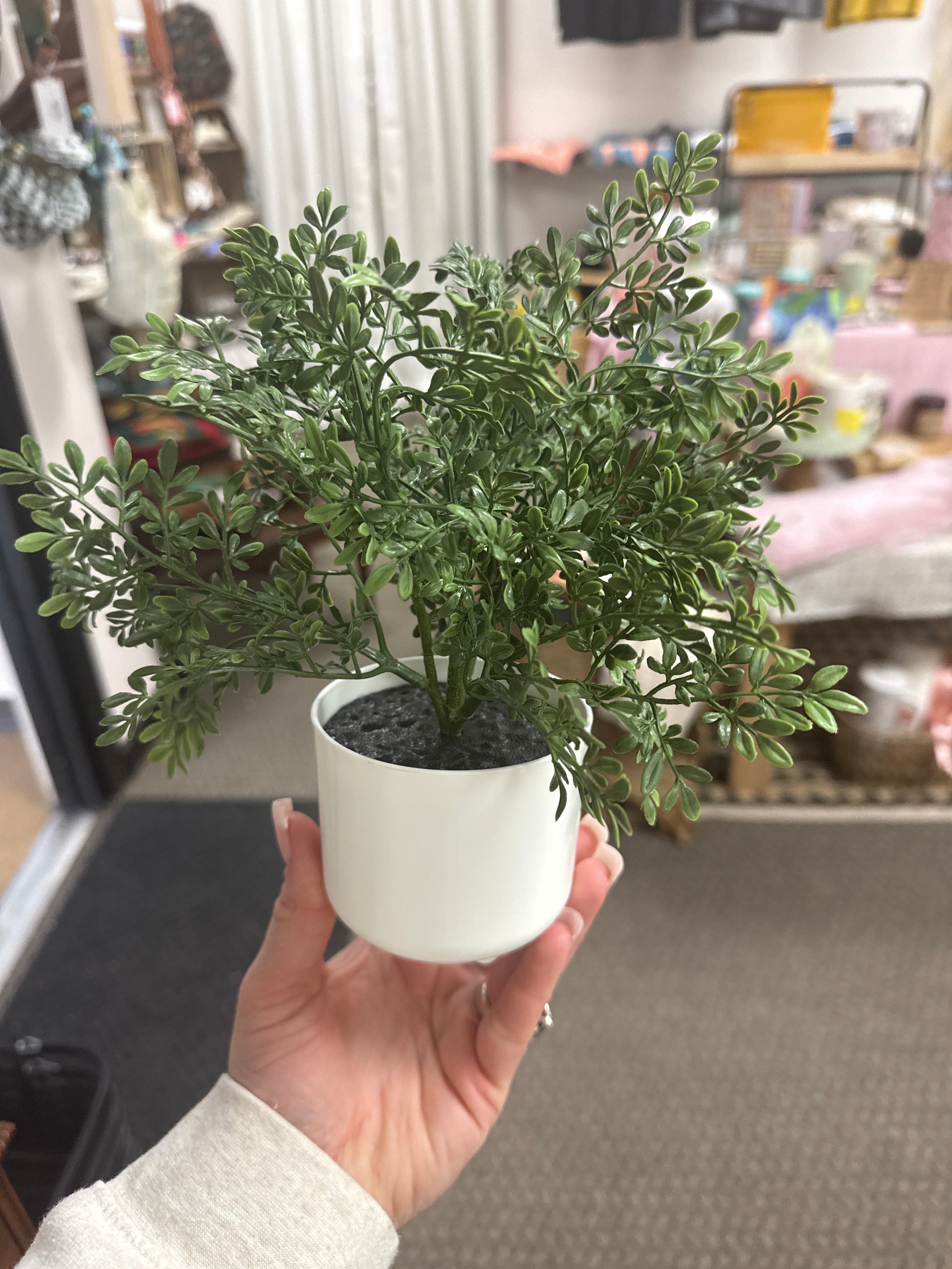 Faux Plant