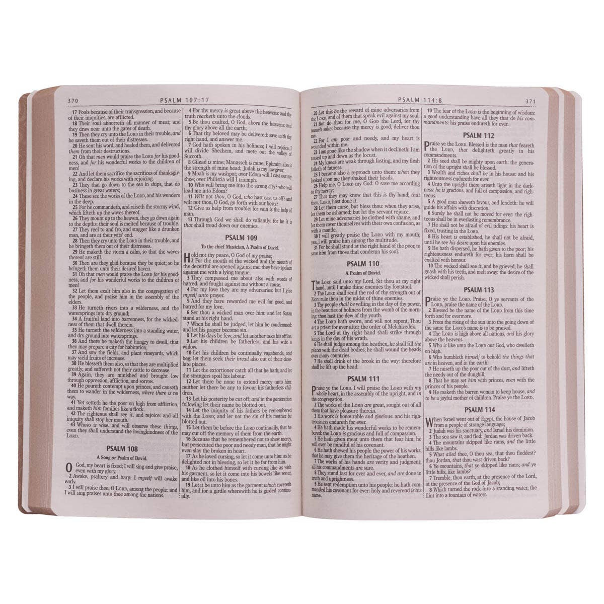 KJV Bible Gift & Award Faux Leather, Tan