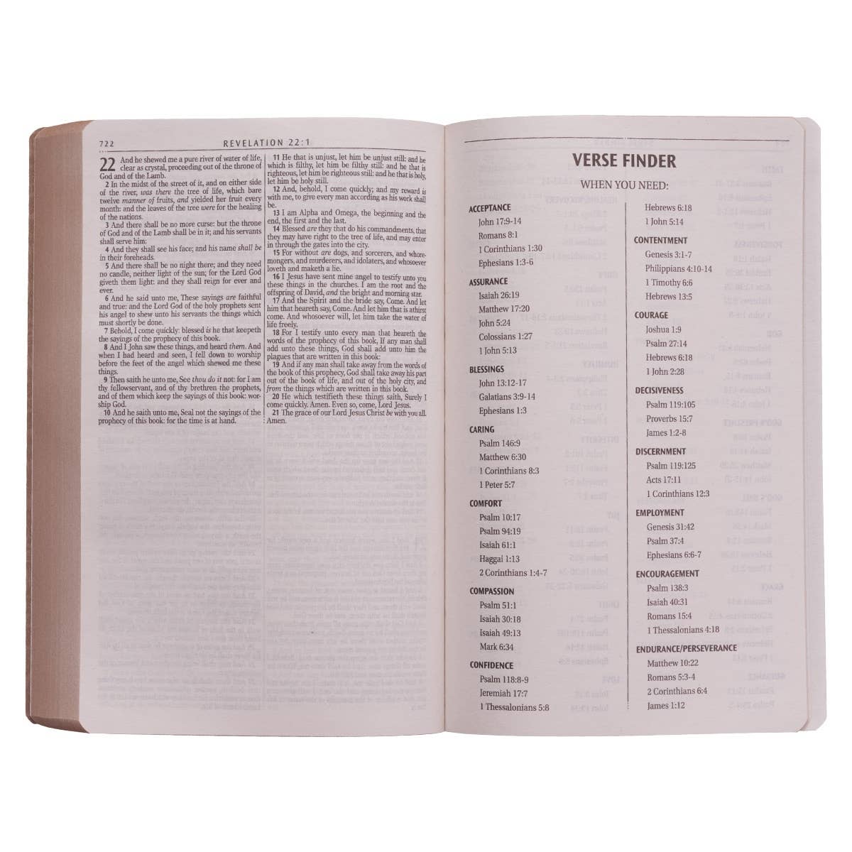 KJV Bible Gift & Award Faux Leather, Tan