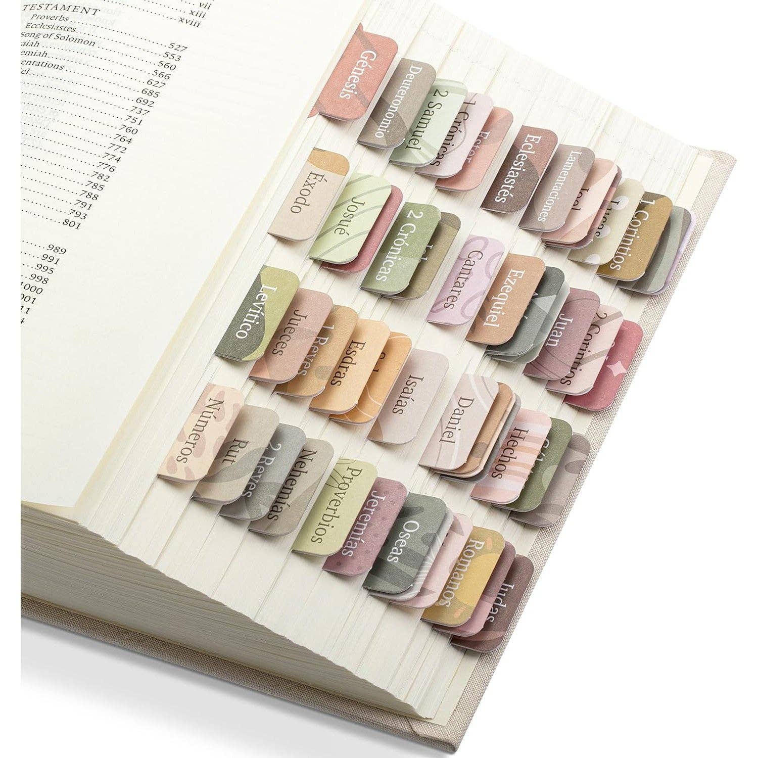 Spanish Bible Tabs Boho Laminated Set